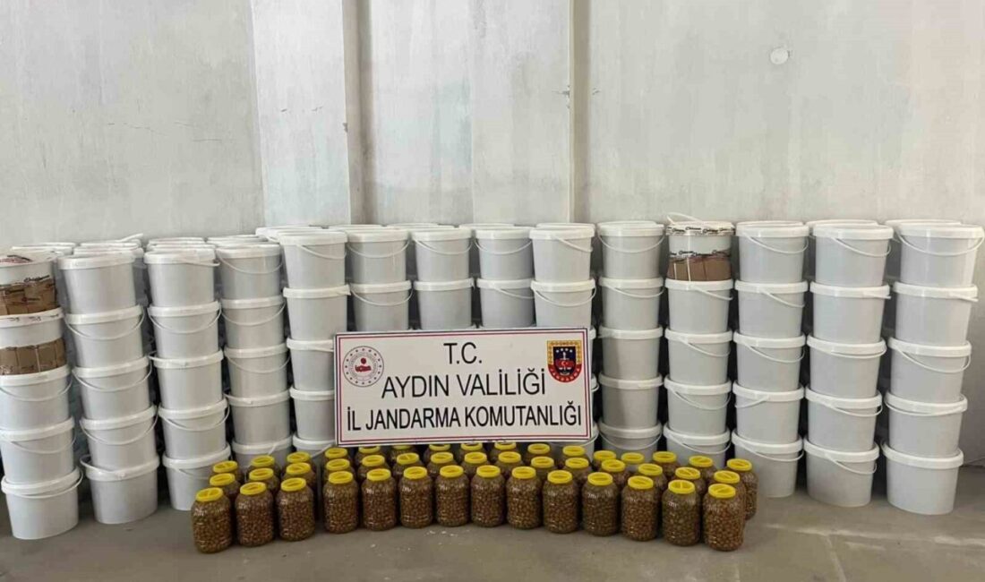 Aydın’ın Köşk ilçesinde yapılan sahte gıda operasyonunda, piyasa değeri 3