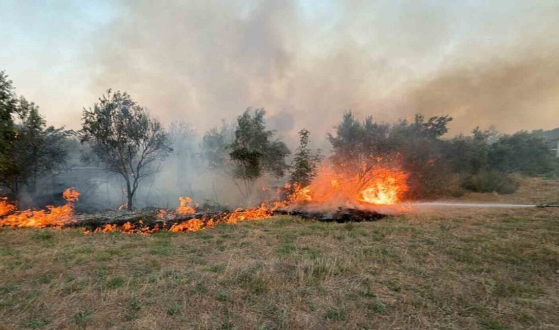 Muğla’nın Köyceğiz ilçesinde tarım arazisinde başlayan ot yangını, ekiplerin hızlı