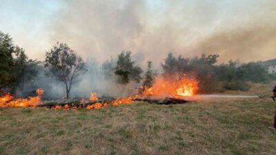 Muğla’nın Köyceğiz ilçesinde tarım arazisinde başlayan ot yangını, ekiplerin hızlı