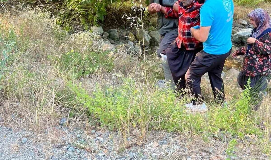 Kozan ilçesinde devriye gezen orman ekipleri, kayalıklardan düşerek yaralanan bir