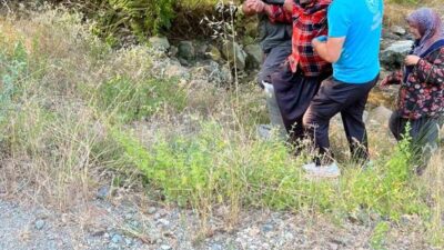 Kozan ilçesinde devriye gezen orman ekipleri, kayalıklardan düşerek yaralanan bir