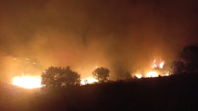 Kula İlçesi’nde, gece saatlerinde çıkan yangında yaklaşık 400 dönüm alan