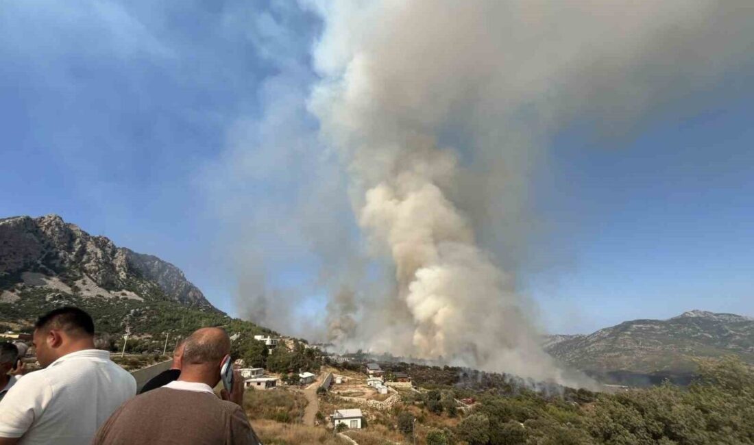 Antalya’nın Kumluca ilçesindeki ormanlık alanda çıkan yangınla mücadele devam ediyor.