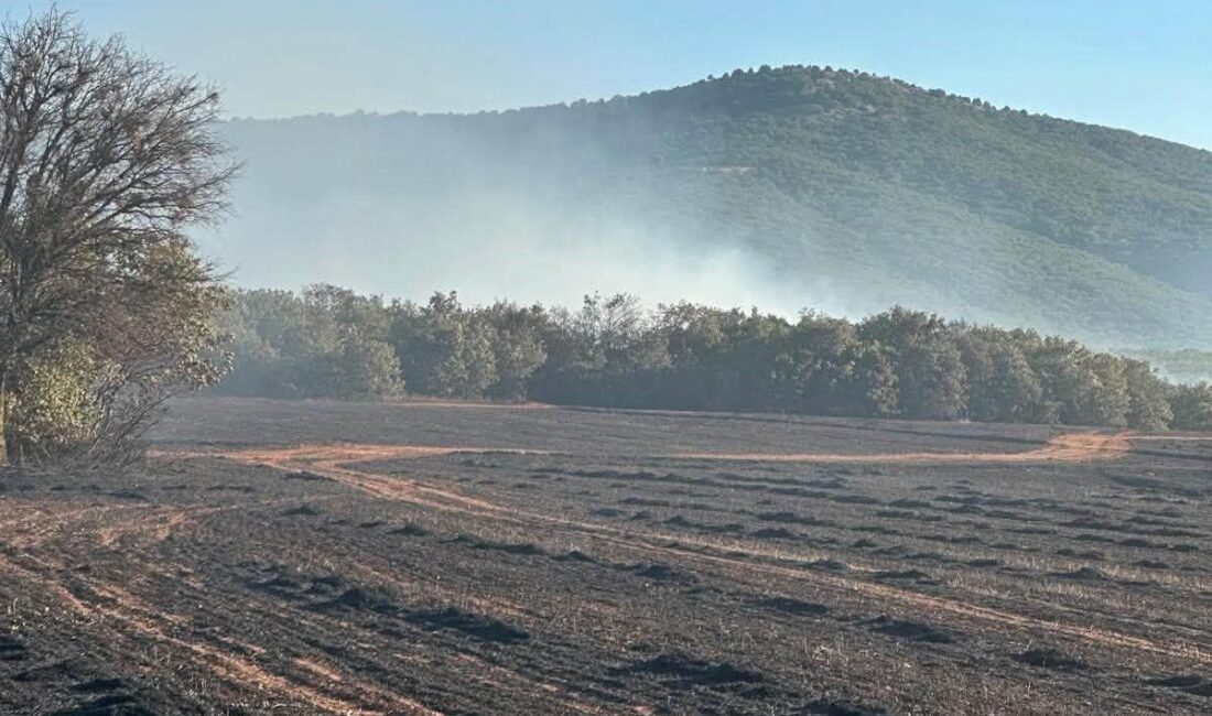 Altıntaş ilçesinde meydana gelen arazi yangını, ekiplerin koordineli ve hızlı