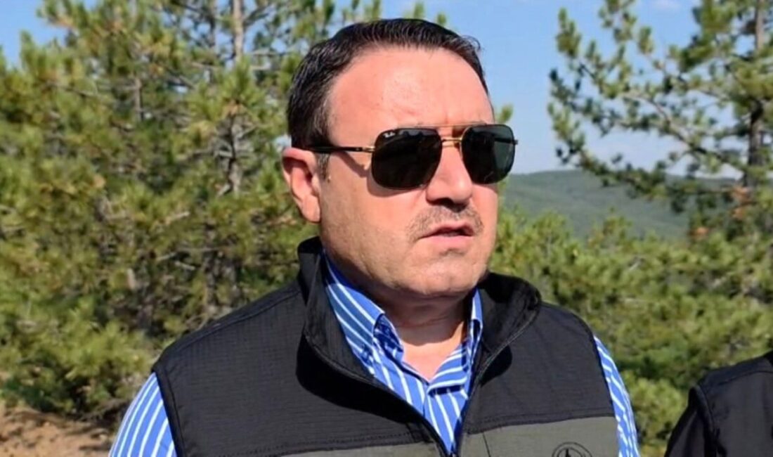 Kütahya Valisi Musa Işın, Elmalı köyünde meydana gelen orman yangınında