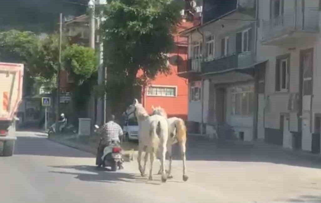 Kütahya’da trafiğe çıkan sıradışı bir görüntü, cep telefonu kamerasına yansıdı.