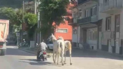 Kütahya’da trafiğe çıkan sıradışı bir görüntü, cep telefonu kamerasına yansıdı.