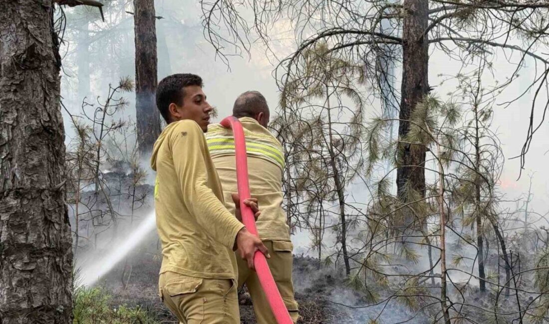Kütahya’nın 30 Ağustos Mahallesi’nde meydana gelen orman yangını, hızlı bir