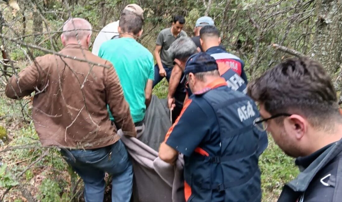 Kütahya’nın Tavşanlı ilçesinde, sarı kantaron toplamak için dağlık alana giden