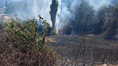 Aydın’ın Kuyucak ilçesinde tarım arazisinde meydana gelen yangın, ekiplerin hava