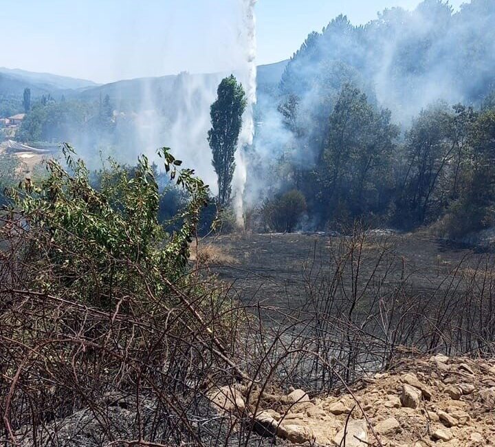 Aydın’ın Kuyucak ilçesinde tarım arazisinde meydana gelen yangın, ekiplerin hava