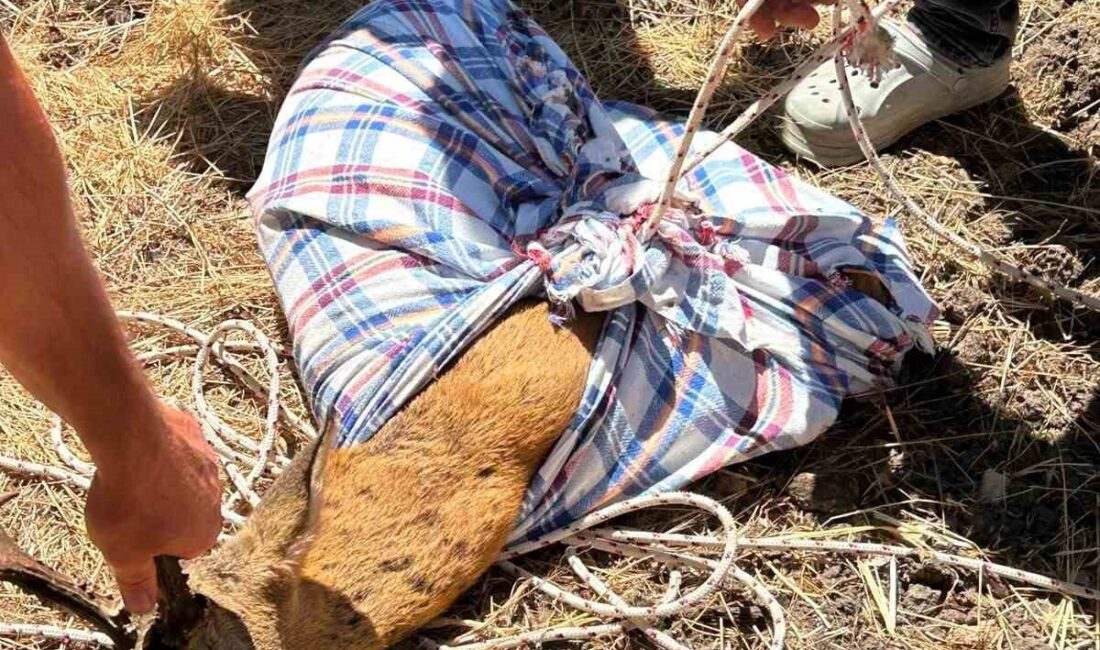 Balıkesir’in Altıeylül ilçesinde yaklaşık 9 metre derinliğindeki bir kuyuya düşen