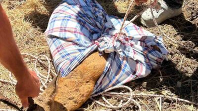 Balıkesir’in Altıeylül ilçesinde yaklaşık 9 metre derinliğindeki bir kuyuya düşen