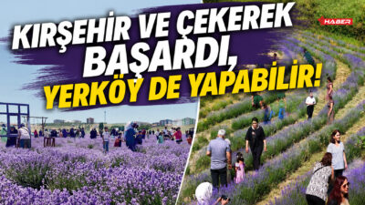 Komşu il Kırşehir’de düzenlenen 6. Lavanta Şenliği ve Yozgat’ın Çekerek