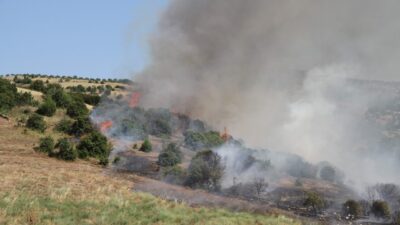Manisa Valiliği tarafından yürütülen ve Tarım ve Orman Bakanlığı rehberliğinde