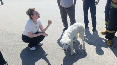 Antalya’da günlerdir bir kanaldan gelen köpek inlemesi ihbarı üzerine harekete