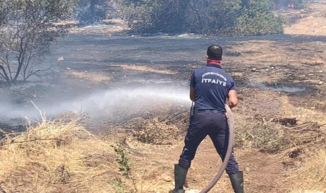 Didim ilçesinde makilik alanda başlayan yangın, ekipler ve vatandaşların bir