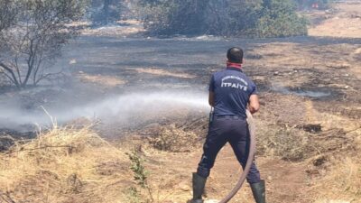 Didim ilçesinde makilik alanda başlayan yangın, ekipler ve vatandaşların bir