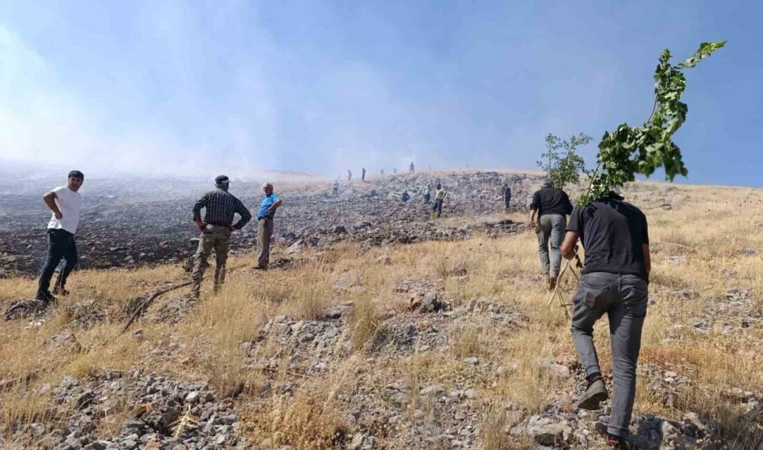 Doğanşehir ilçesinde dağlık bir alanda çıkan anız yangınına ekiplerin müdahalesi