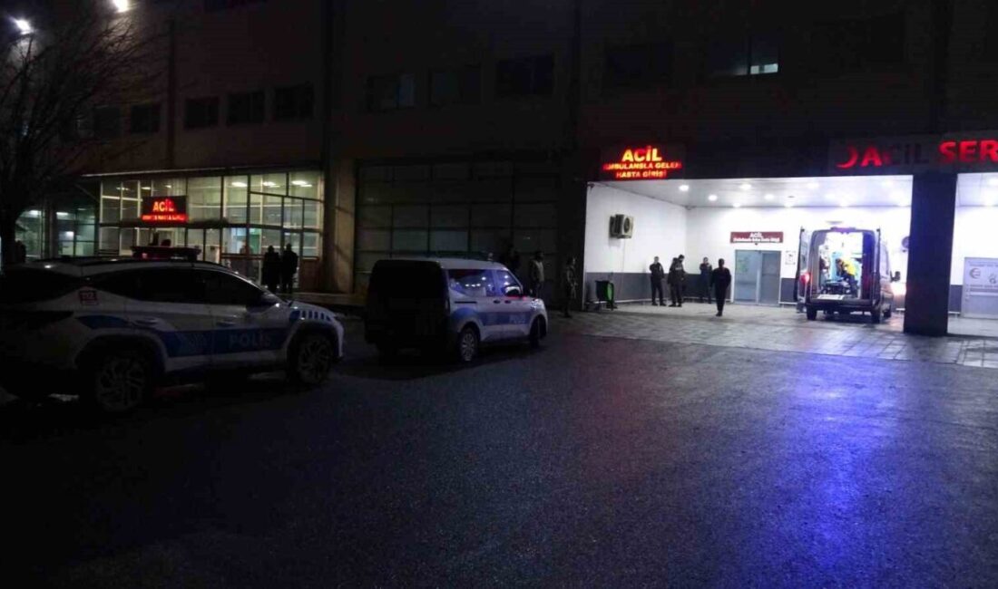 Hekimhan ilçesinde, akraba iki aile arasında bir dut ağacı yüzünden