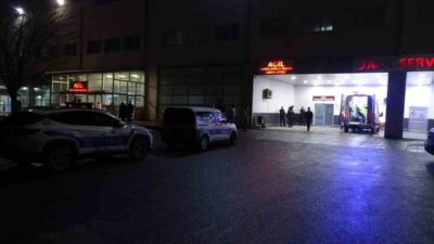 Hekimhan ilçesinde, akraba iki aile arasında bir dut ağacı yüzünden