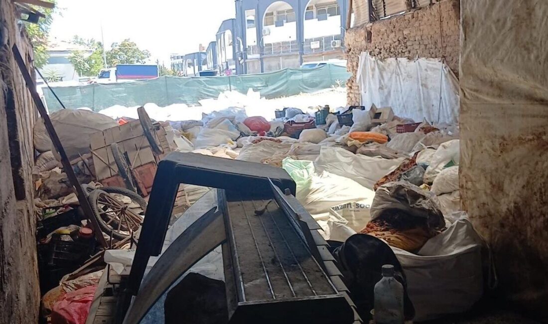 Battalgazi ilçesinde, sağlıksız koşullarda kayısı depolayan bir iş yerinin denetimi
