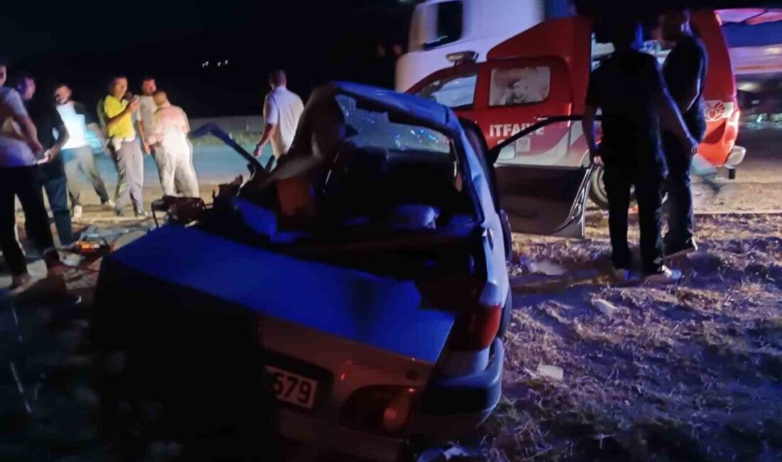 Hekimhan ilçesinde meydana gelen trafik kazasında, bir minibüs ile bir