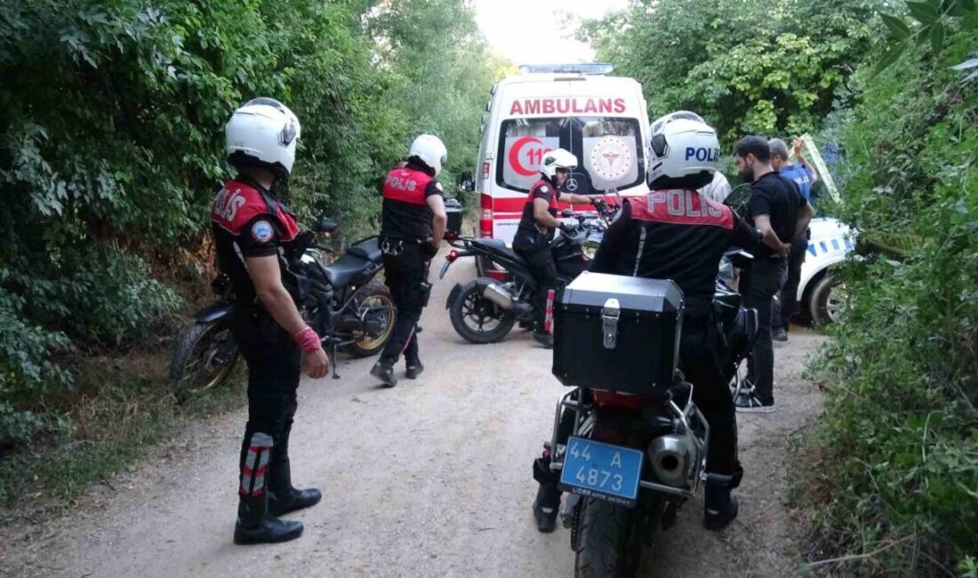 Malatya’nın Yeşilyurt ilçesinde, akşam saatlerinde Tecde Mahallesi Altınkaşık Sokak’ta meydana
