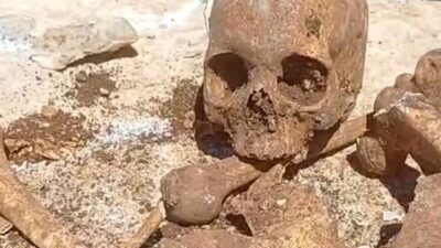 Hekimhan ilçesinde bir inşaat alanında insan kemikleri ve bir kafatası