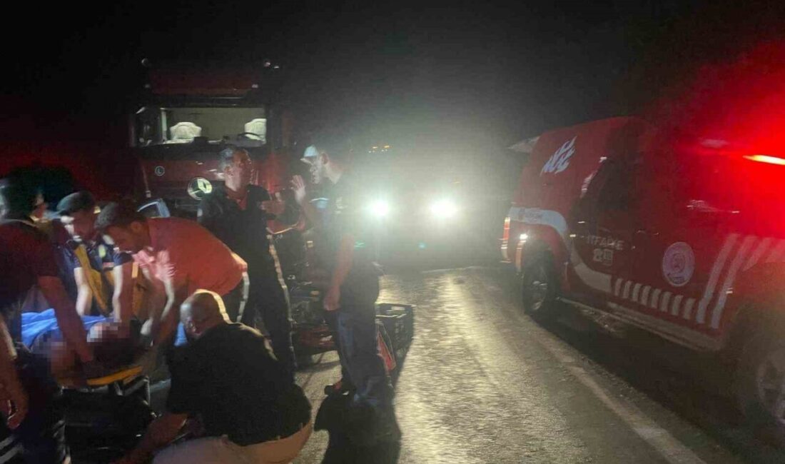 Malatya’nın Arguvan ilçesinde, bir tır ile otomobilin çarpıştığı kaza sonucunda