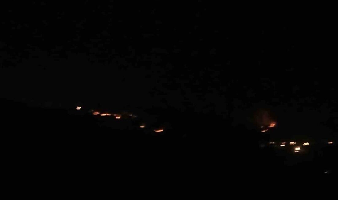 Malatya’nın Pütürge ilçesinde ormanlık alanda başlayan yangına karadan ve havadan
