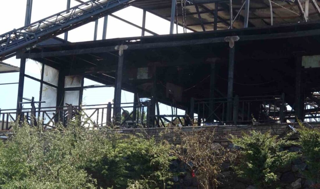Maltepe’de, Fındıklı Mahallesi Başıbüyük Yolu üzerinde bulunan ormanlık alandaki 2