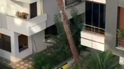 Maltepe ilçesinde bir evden yükselen kadının çığlıklarına duyarsız kalamayan bir