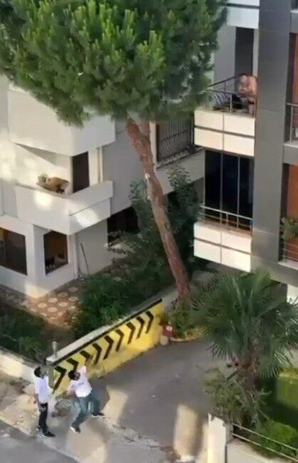 Maltepe ilçesinde bir evden yükselen kadının çığlıklarına duyarsız kalamayan bir