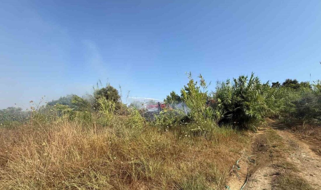 Manavgat ilçesinde bulunan kamışlık alanda çıkan yangın, Antalya Büyükşehir Belediyesi