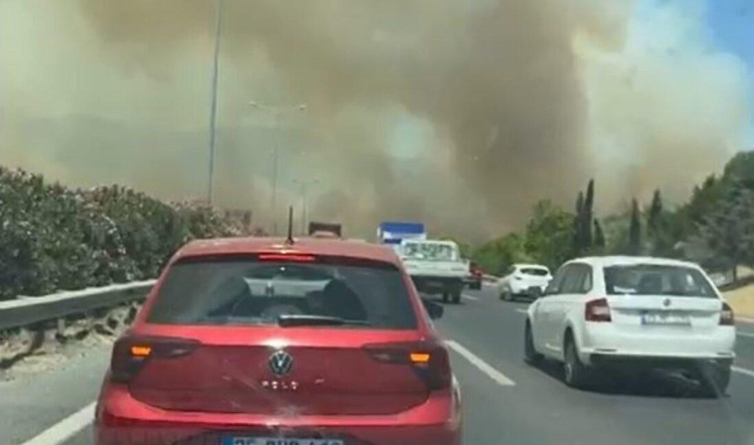 Manisa’nın Akhisar ilçesinde meydana gelen orman yangını, şiddetli rüzgarın etkisiyle