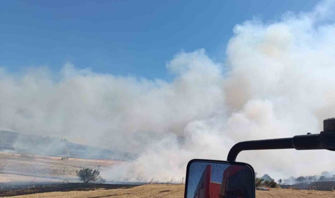 Manyas ilçesindeki ormanlık alana sıçrayan anız yangını, hızla kontrol altına