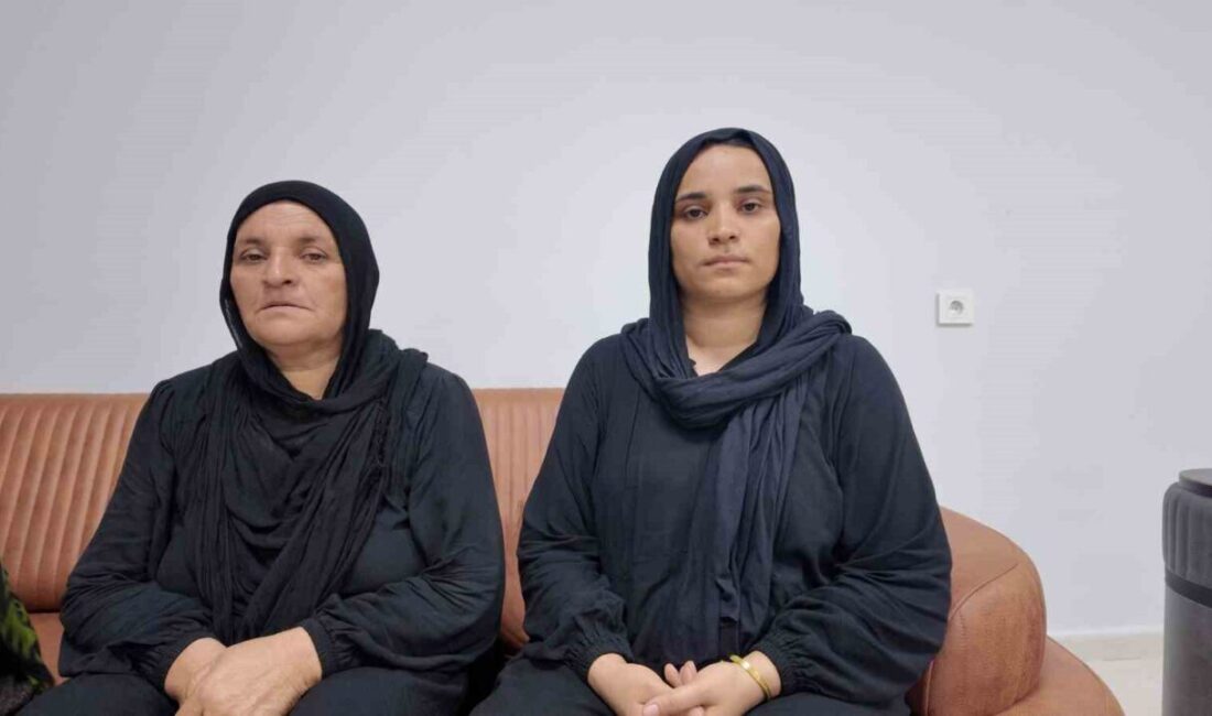 Mardin’in Artuklu ilçesine bağlı Gökçe Mahallesi’nde 22 Şubat 2025 tarihinde