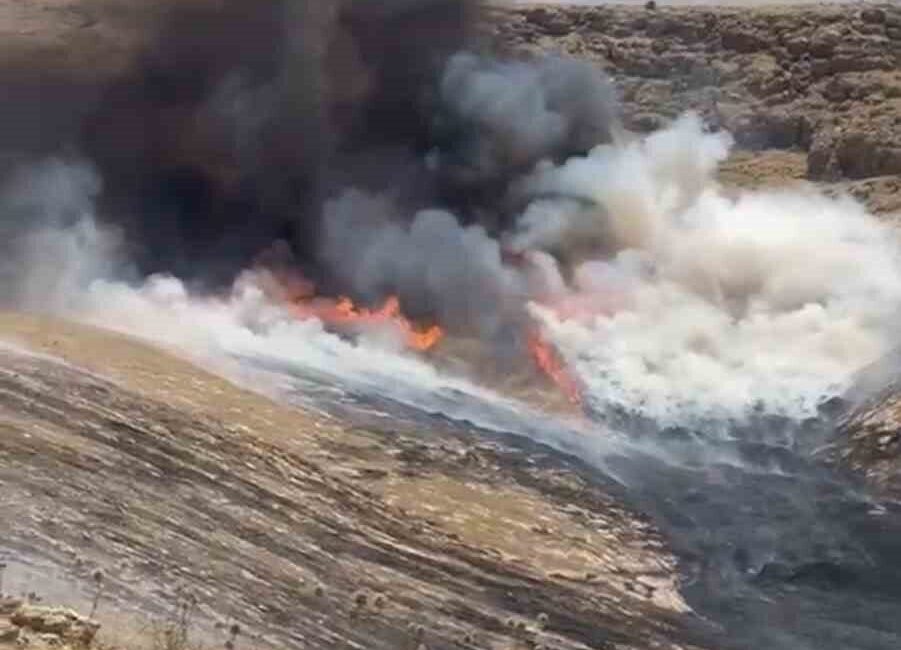 Mardin’in Artuklu ilçesindeki otluk alanda çıkan yangın, itfaiye ekipleri tarafından