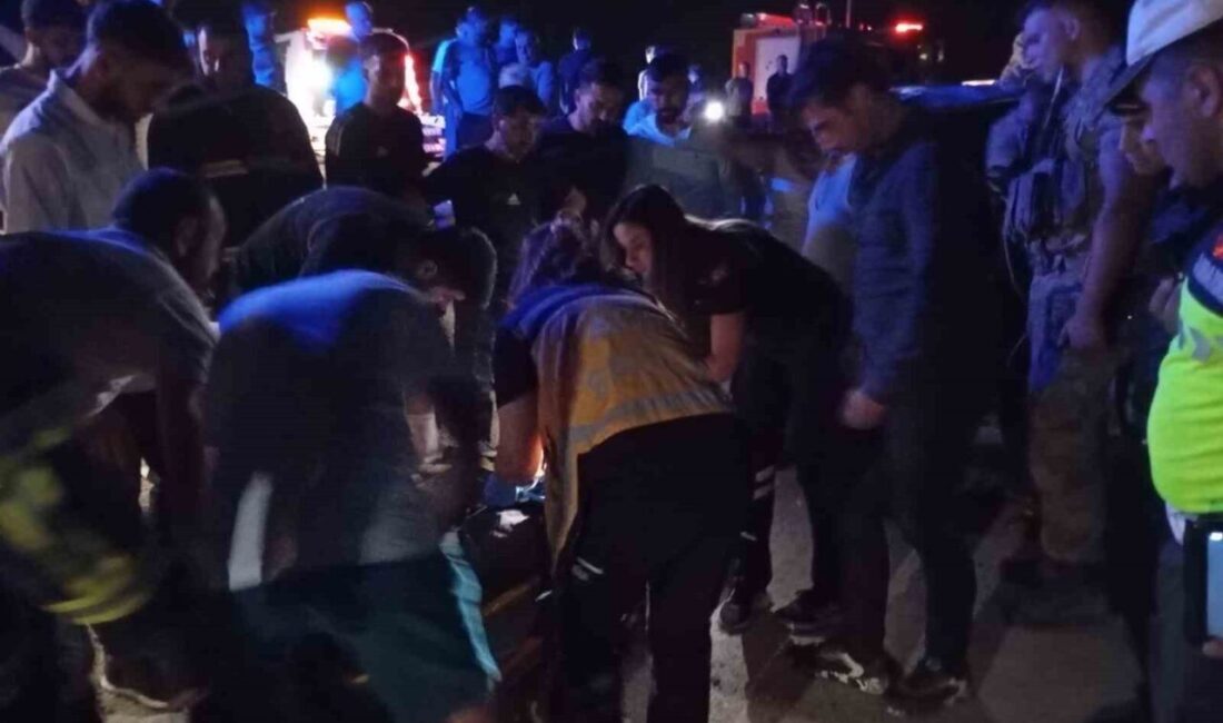 Mardin’in Ömerli ilçesinde meydana gelen trafik kazasında, bir hafif ticari