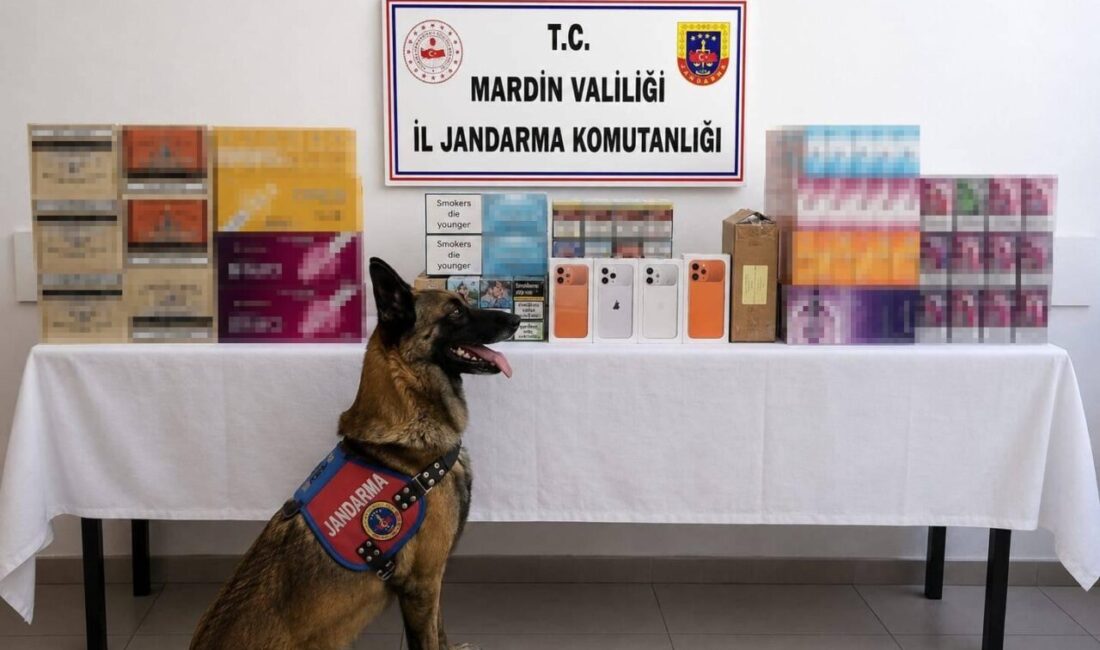 Mardin’de gerçekleştirilen operasyonda, piyasa değeri 2 milyon lira olan birçok