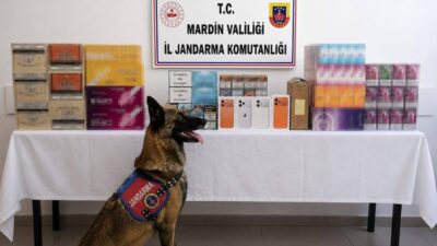 Mardin’de gerçekleştirilen operasyonda, piyasa değeri 2 milyon lira olan birçok