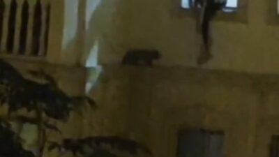 Mardin’in Nusaybin ilçesinde yaşanan bir olayda, bir evin dış cephesinde