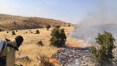 Mardin’in Mazıdağı ilçesinde meydana gelen örtü ve anız yangını, itfaiye