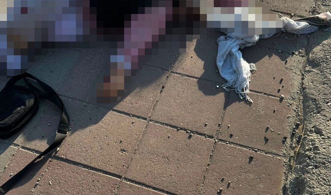 Mardin’in Nusaybin ilçesinde 69 yaşındaki bir kadın, bir tırın çarpması