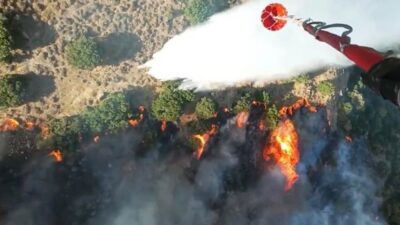 Menemen ilçesindeki tarım arazisinde başlayan ve rüzgarın da etkisiyle çalılık