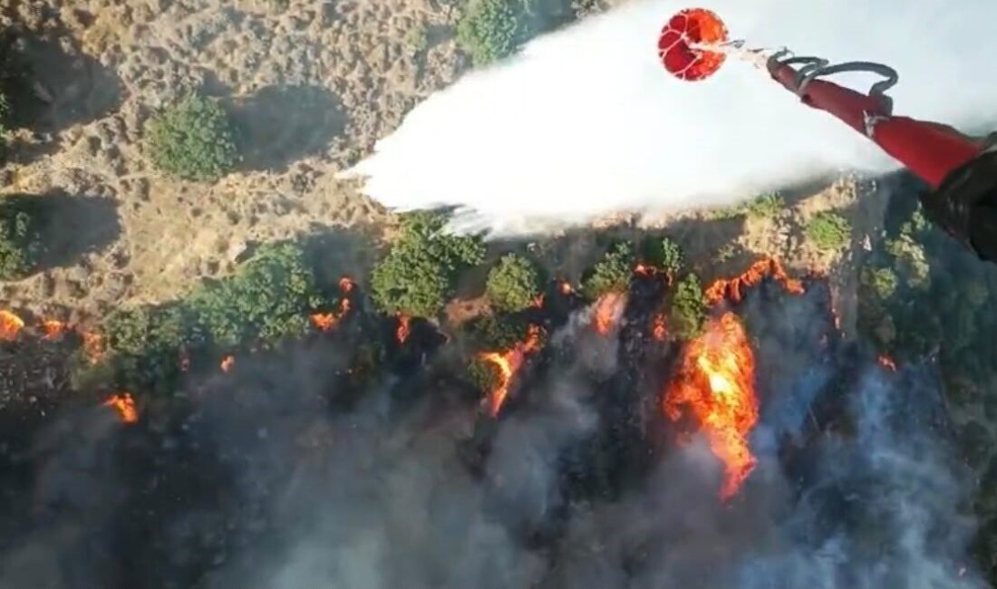 Ziraat alanında çıkan yangın, rüzgarın etkisiyle Menemen ilçesindeki makilik alana