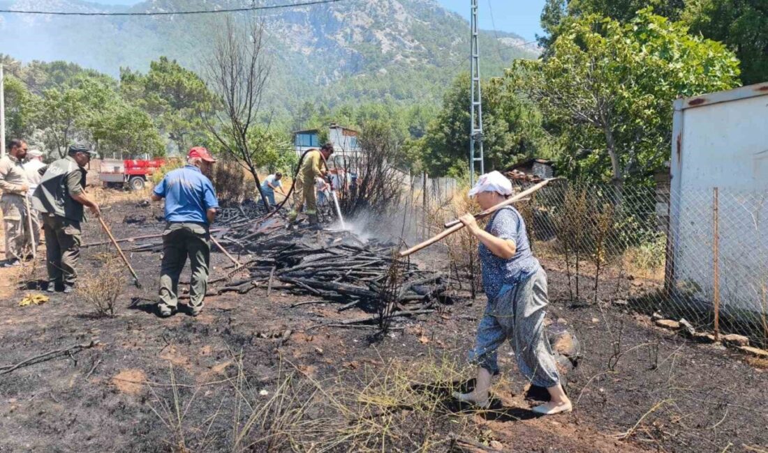 Muğla’nın Menteşe ilçesinde zirai alanda başlayan ve ormana yayılan yangını