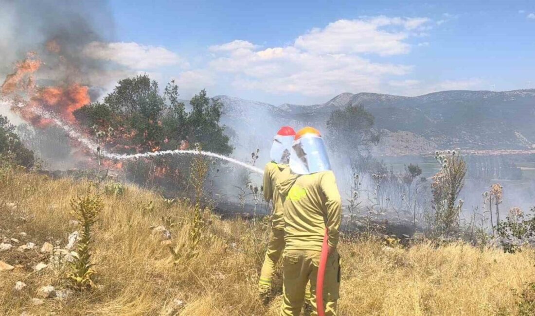 Muğla’nın Menteşe ilçesine bağlı Orhaniye Mahallesi’nde, Hamursuz mevkisinde başlayan makilik