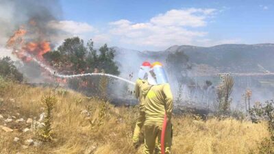 Muğla’nın Menteşe ilçesine bağlı Orhaniye Mahallesi’nde, Hamursuz mevkisinde başlayan makilik